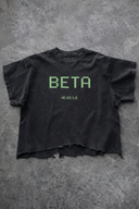HE.OS_1.0 — BETA_ACCESS_TEE.EXE